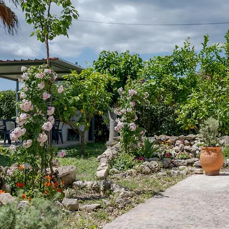 Margaritas * Ambelokipoi (Zakynthos)