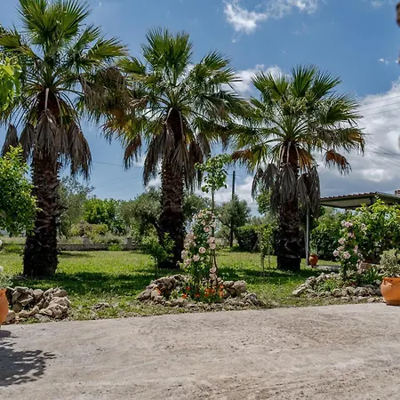 Margaritas Ambelokipoi (Zakynthos)